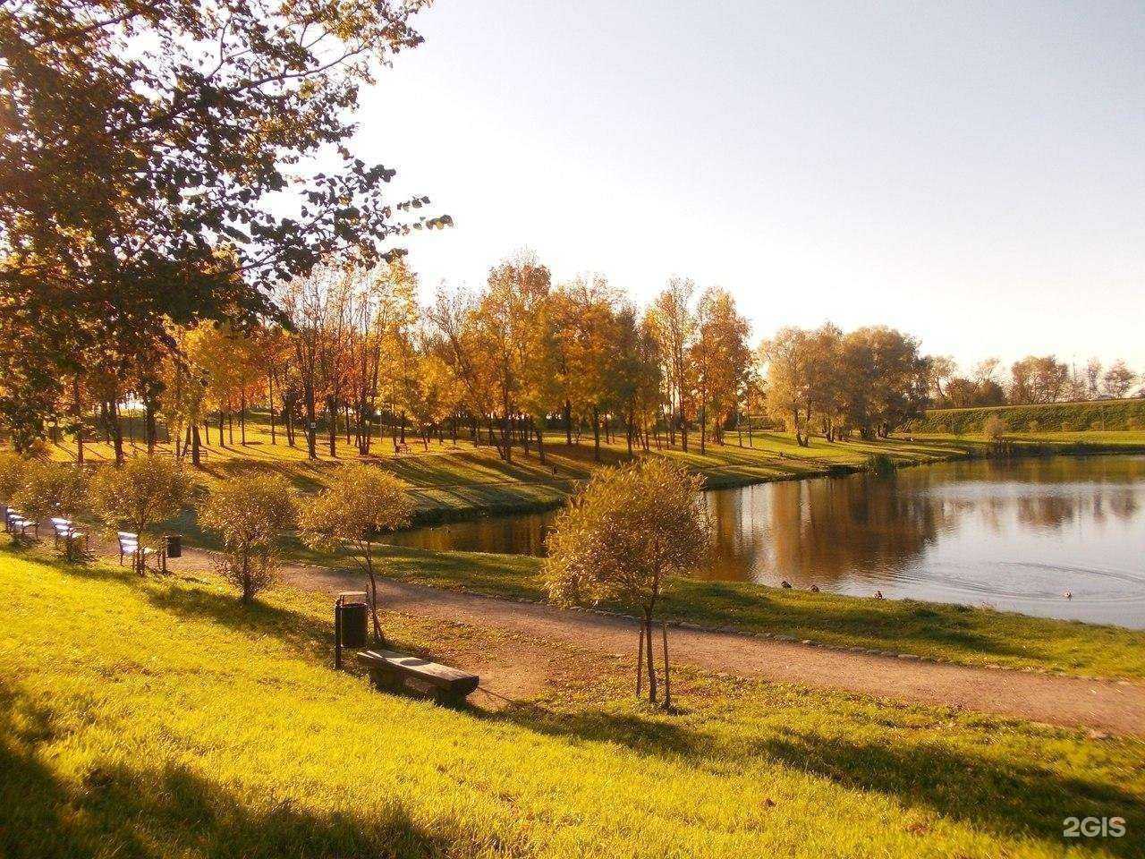 Отзывы на компанию Проект в г. Псков c фото