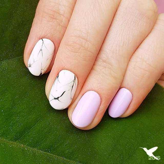 Отзывы на компанию Colibri studio в Казани c фото