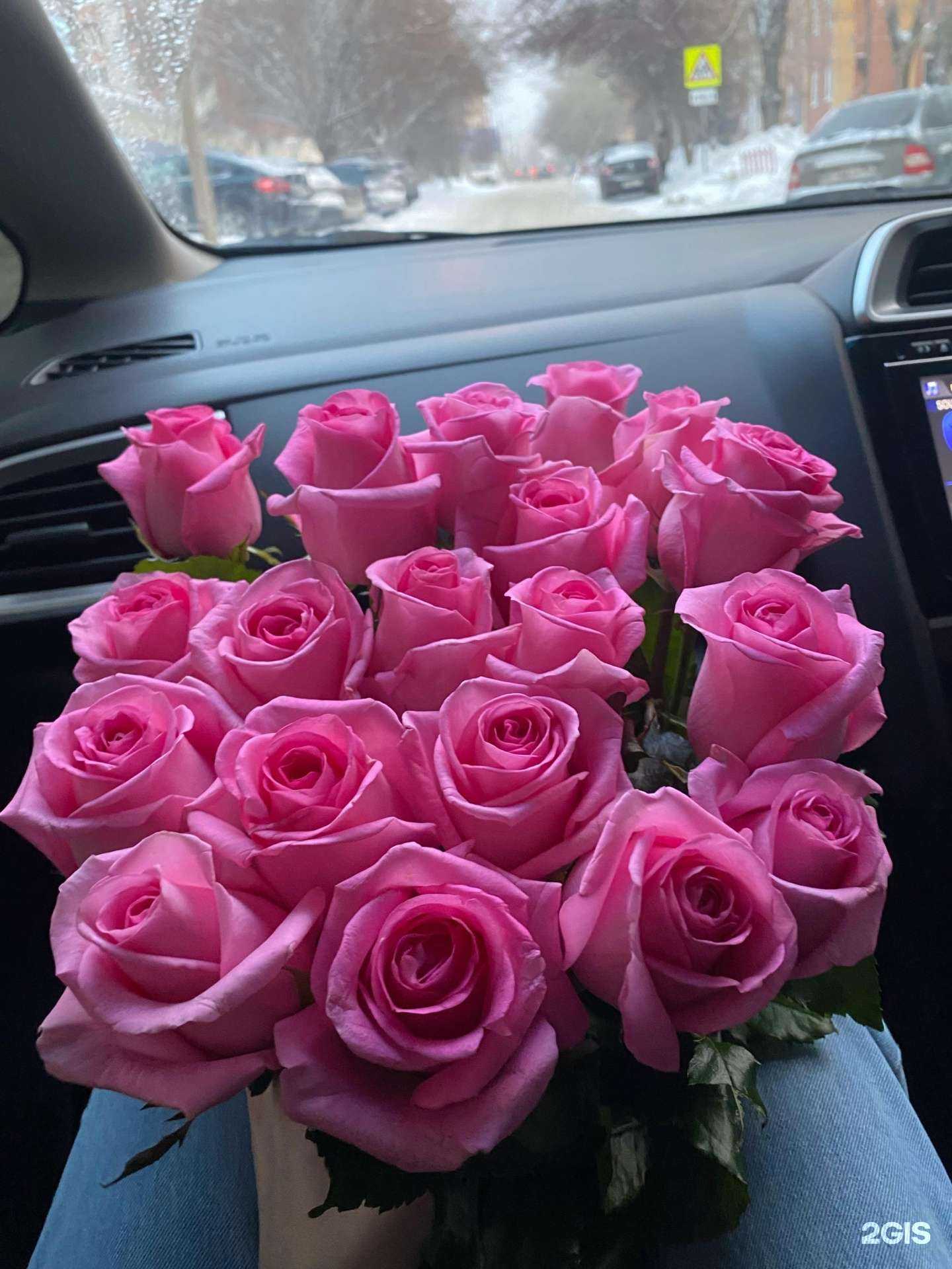 Отзывы на компанию Анна в Новосибирске c фото