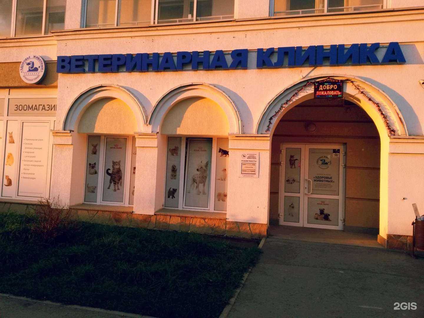 Отзывы на компанию Здоровье животных в г. Екатеринбург c фото