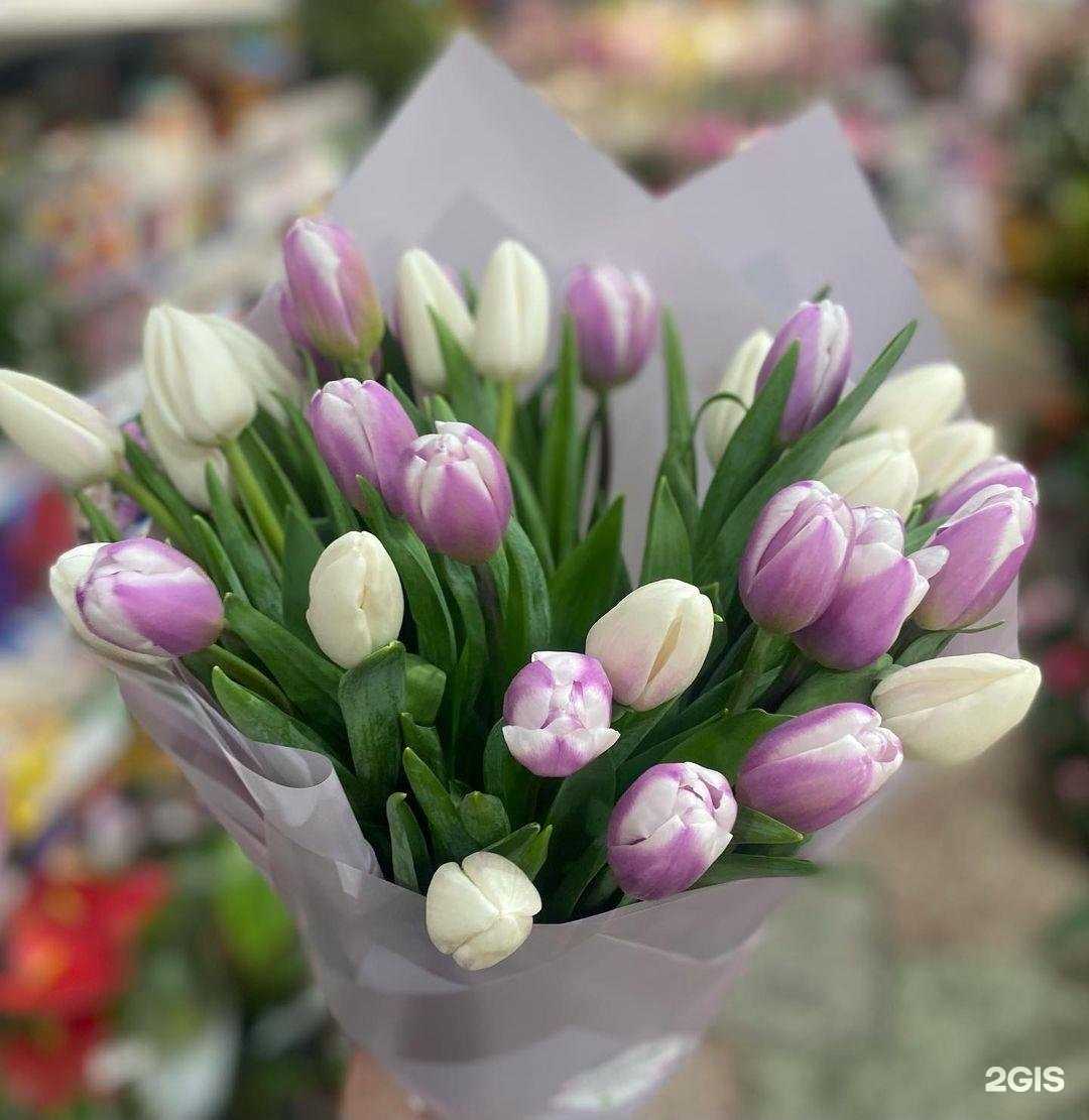 Отзывы на компанию Цветник в Махачкале c фото