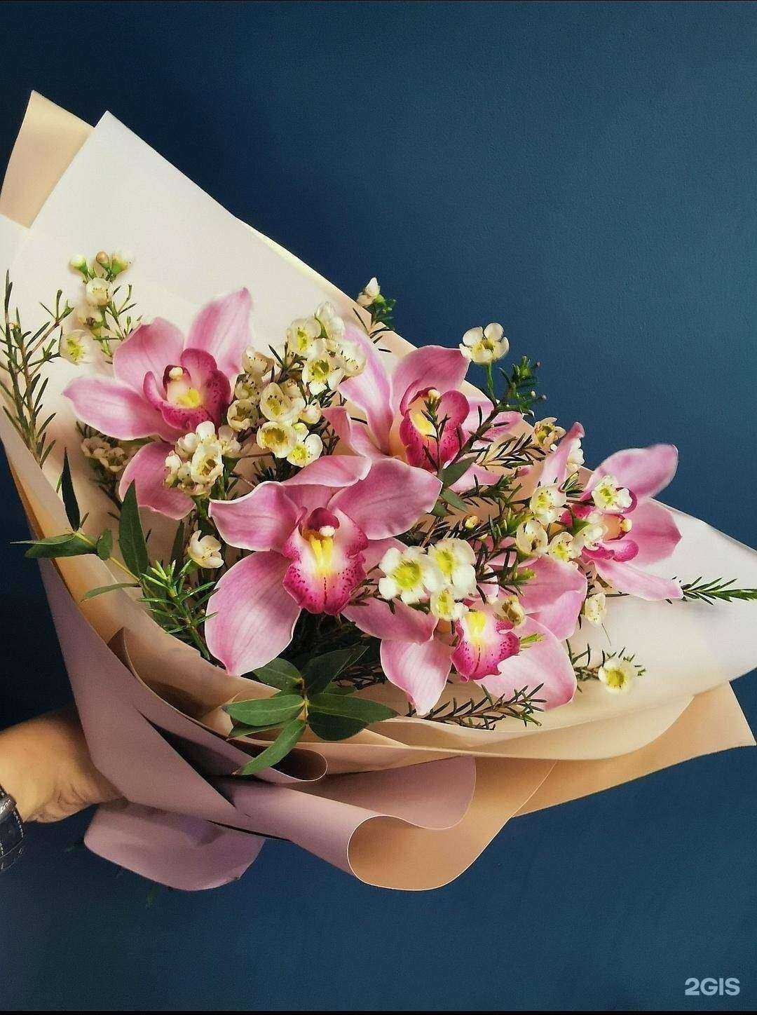 Отзывы на компанию Сезоны в г. Абакан c фото