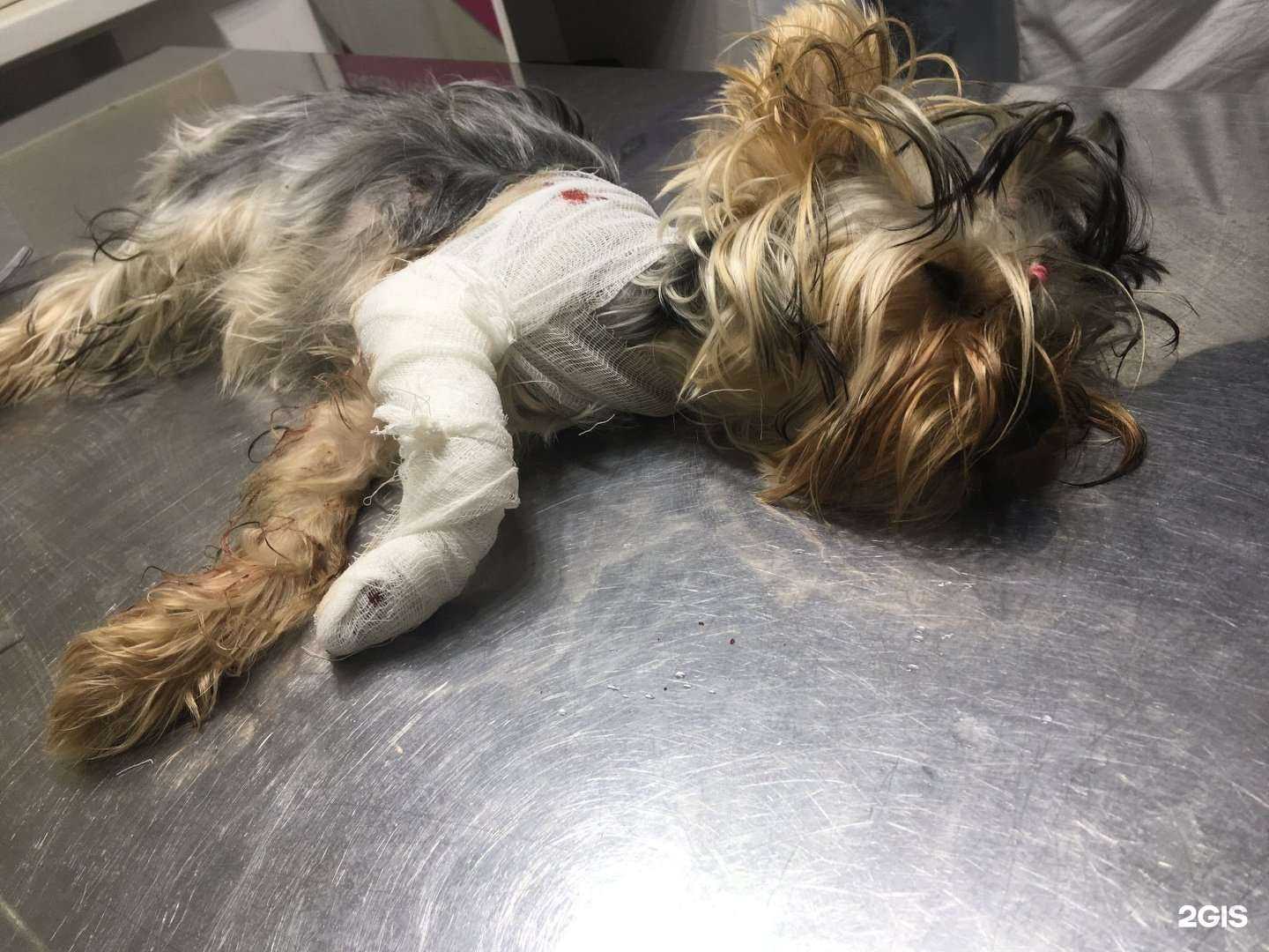 Отзывы на компанию Вальрос в г. Астрахань c фото