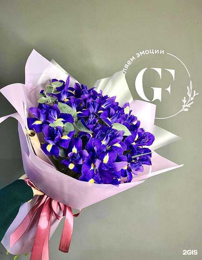 Отзывы на компанию Sochi flow в Сочи c фото