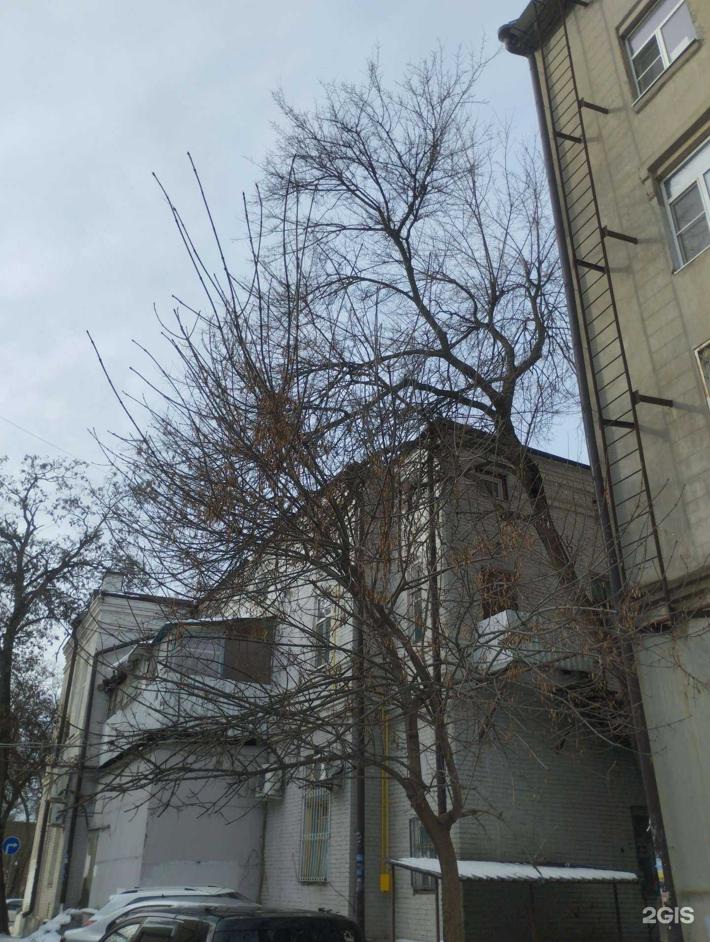 Отзывы на компанию Fashion Zone в Ростове-на-Дону c фото - фотография 2 из 2