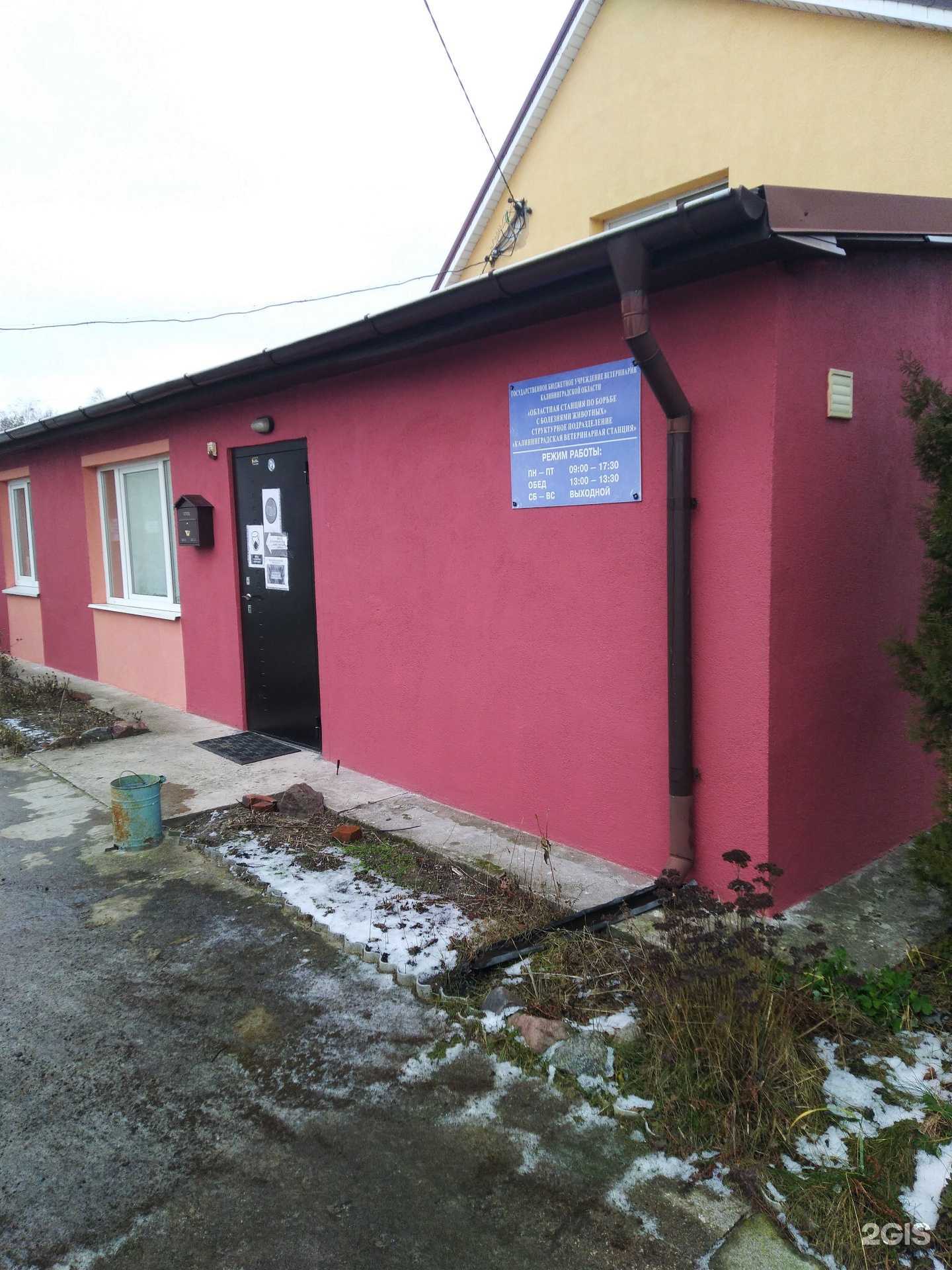 Отзывы на компанию Областная станция по борьбе с болезнями животных Калининградской области в г. Светлый c фото