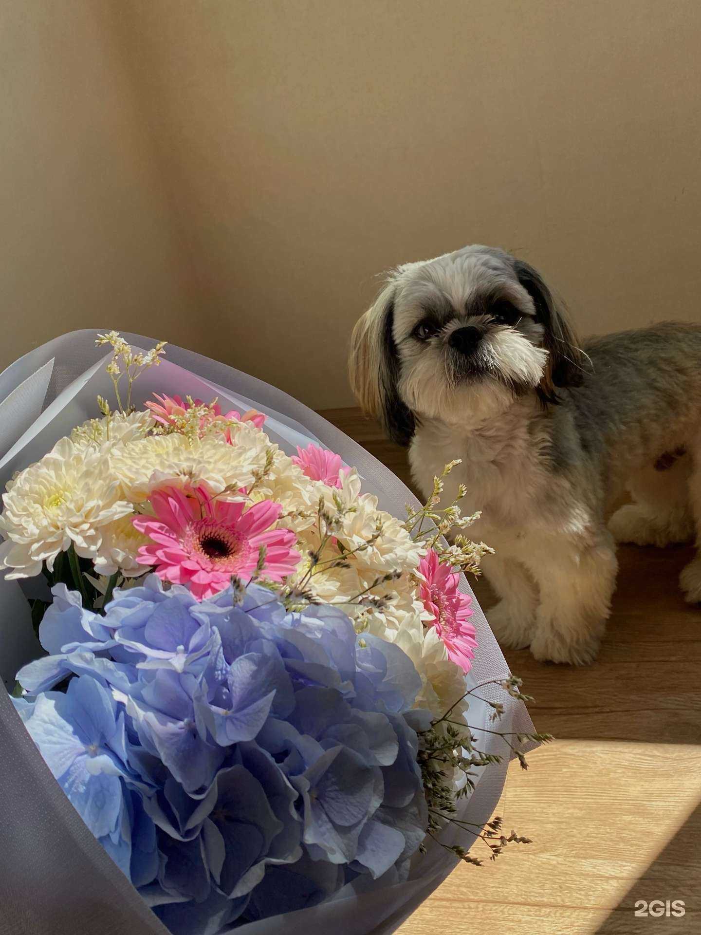 Отзывы на компанию Цветочный магазин в г. Кемерово c фото