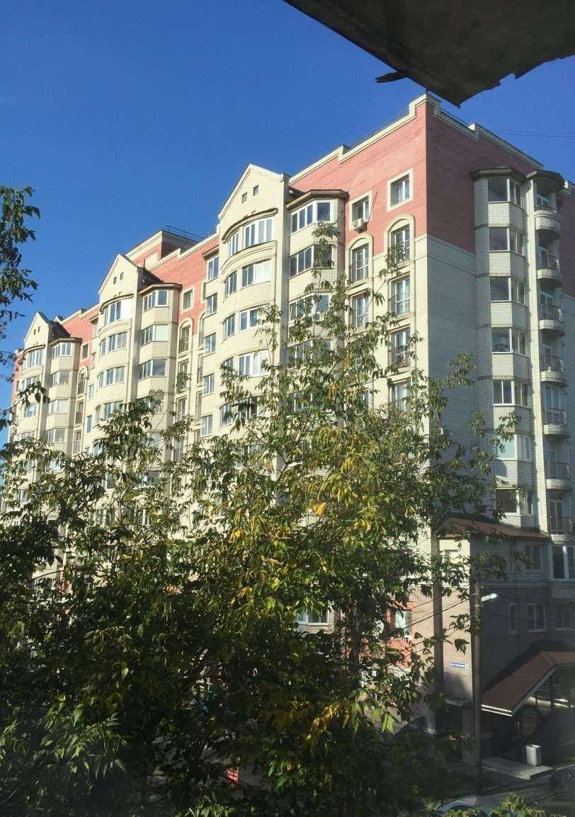 Отзывы на компанию Школа развития интеллекта в Владимире c фото - фотография 2 из 2