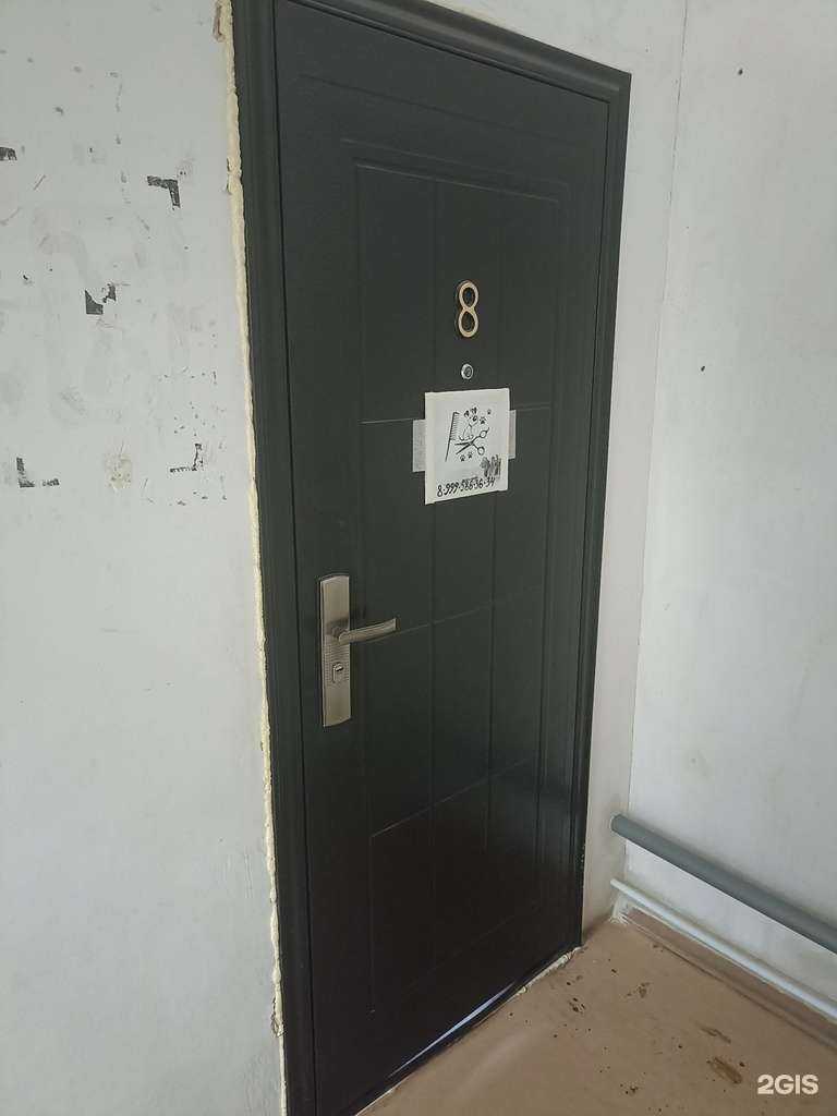 Отзывы на компанию Салон груминга в Еманжелинске c фото