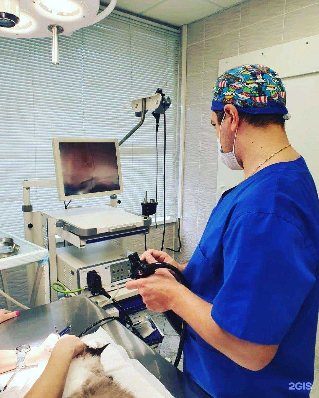 Отзывы на компанию Феникс в г. Ногинск c фото