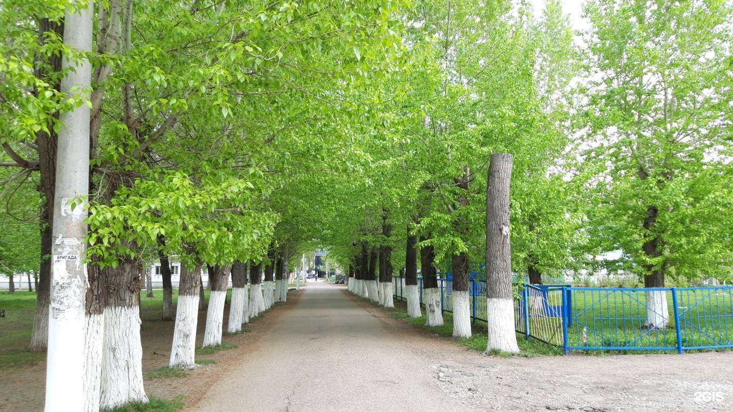 Отзывы на компанию Средняя школа №7 в г. Стерлитамак c фото