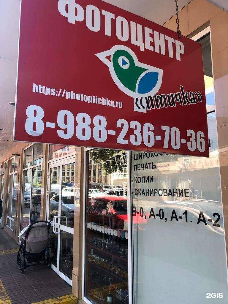 Отзывы на компанию Птичка в Сочи c фото