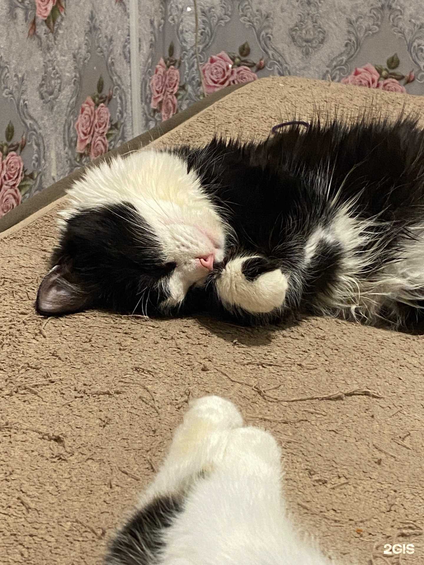 Отзывы на компанию Томас в г. Астрахань c фото