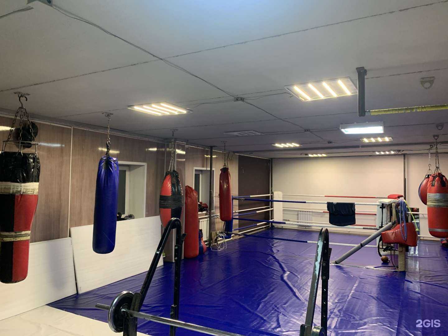 Отзывы на компанию Wild gym в г. Новосибирск c фото