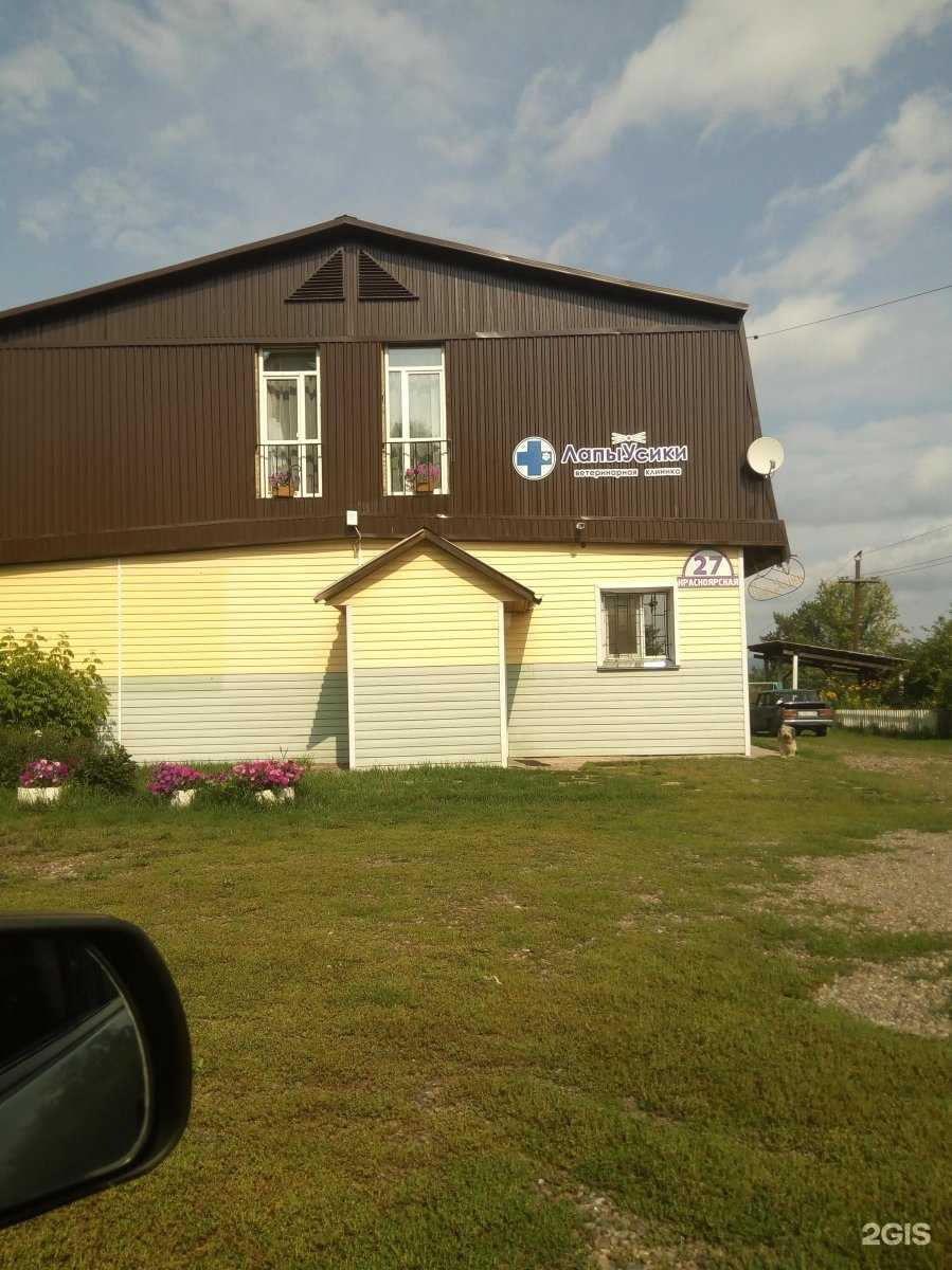 Отзывы на компанию ЛапыУсики в Железногорске c фото - фотография 2 из 2