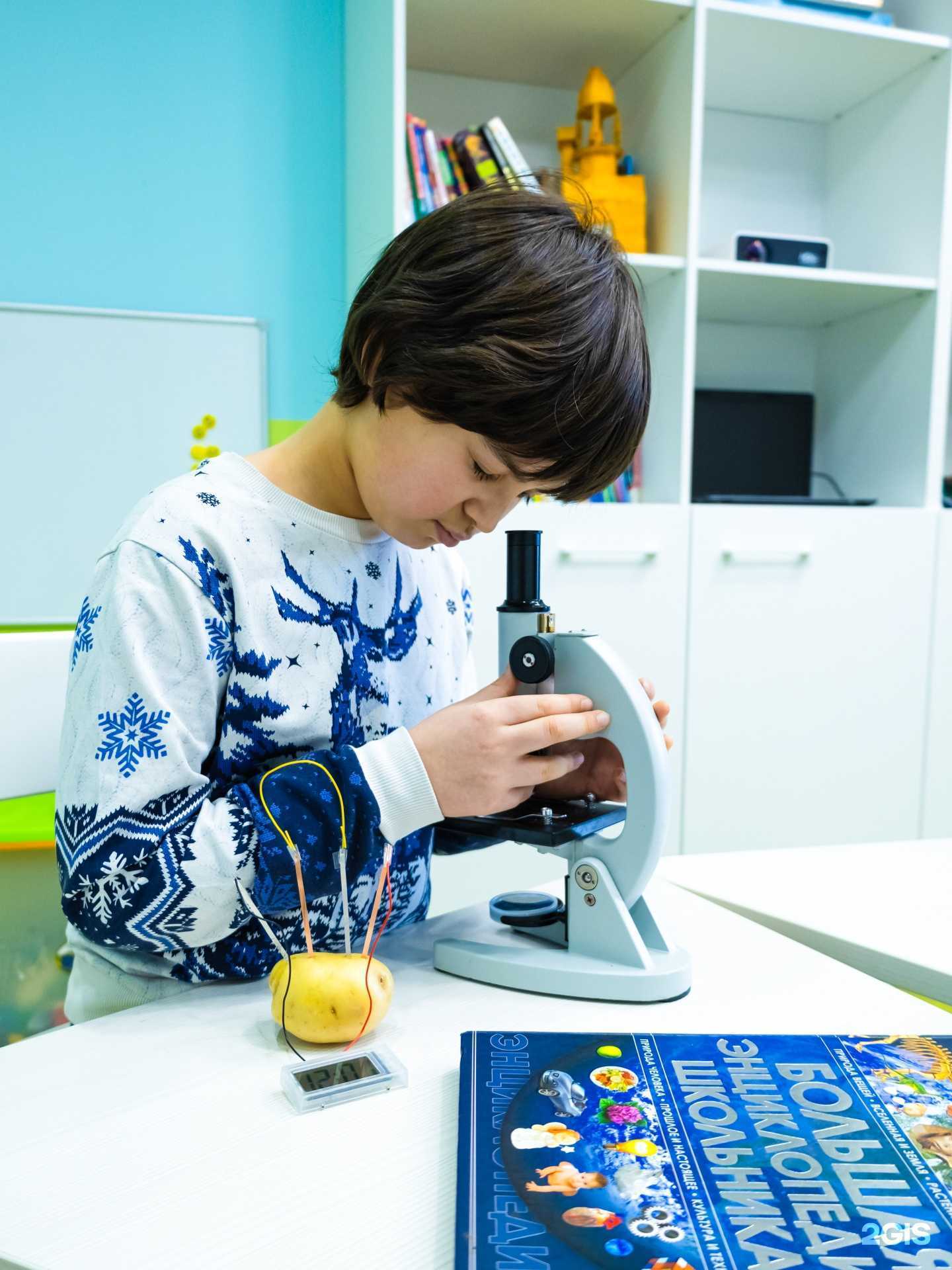 Отзывы на компанию Совушки в г. Казань c фото