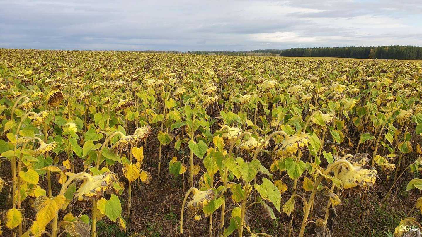 Отзывы на компанию Акман в Уфе c фото