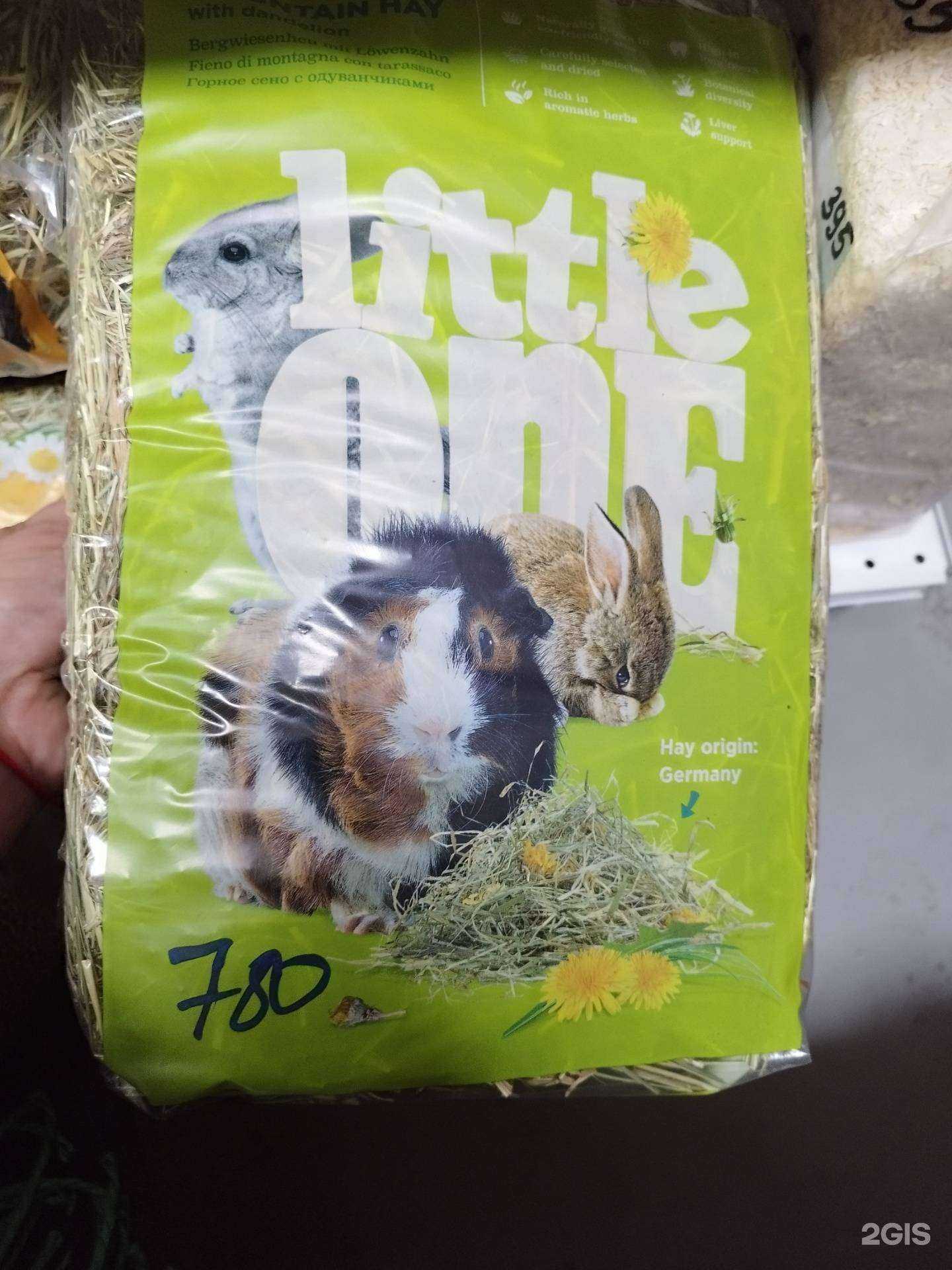 Отзывы на компанию Любимый питомец в г. Чита c фото