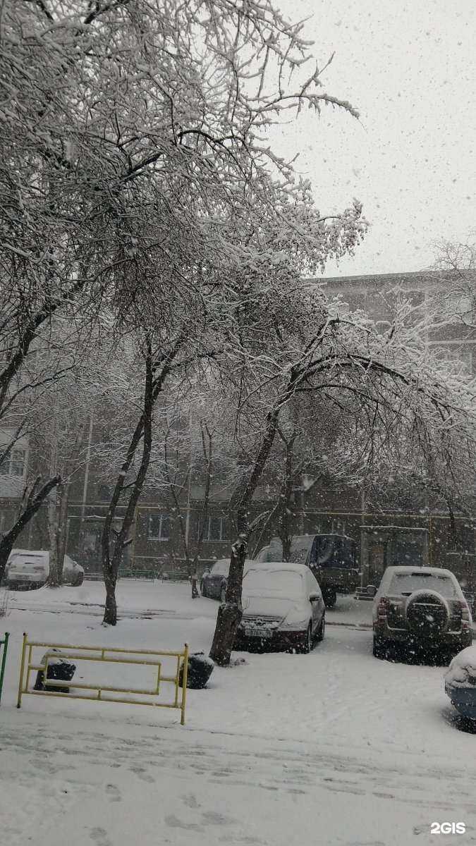 Отзывы на компанию Вита Экспресс в Екатеринбурге c фото