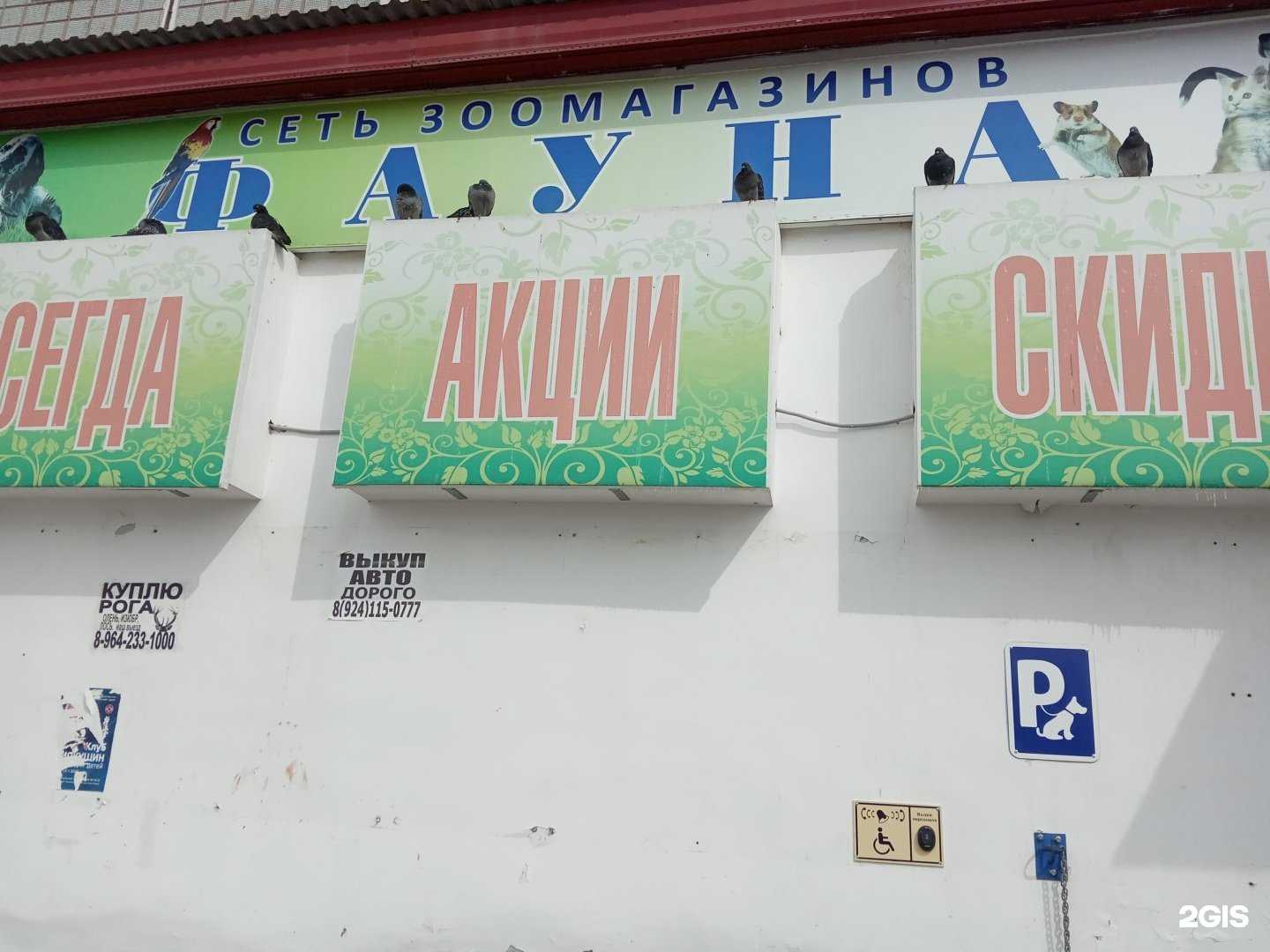 Отзывы на компанию Фауна в г. Амурск c фото