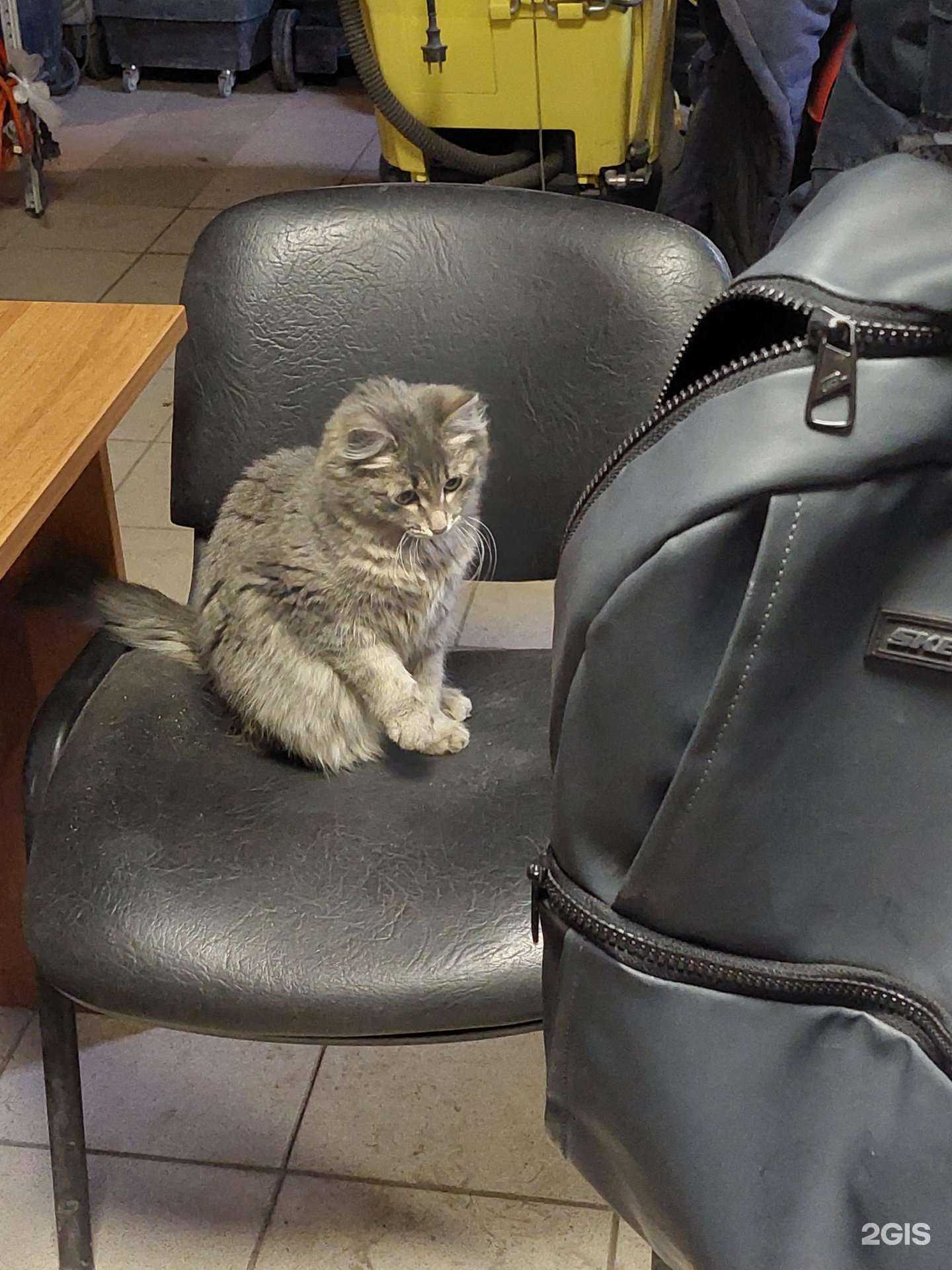 Отзывы на компанию КрасПрокат в Красноярске c фото