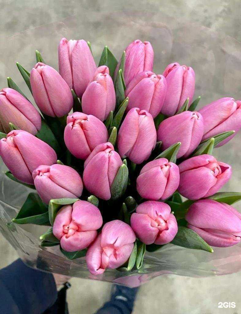 Отзывы на компанию Лепесток в Сургуте c фото