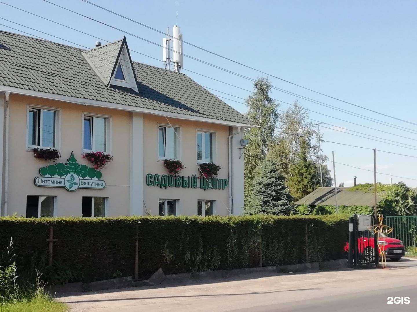 Отзывы на компанию Питомник Вашутино в Химках c фото - фотография 2 из 2