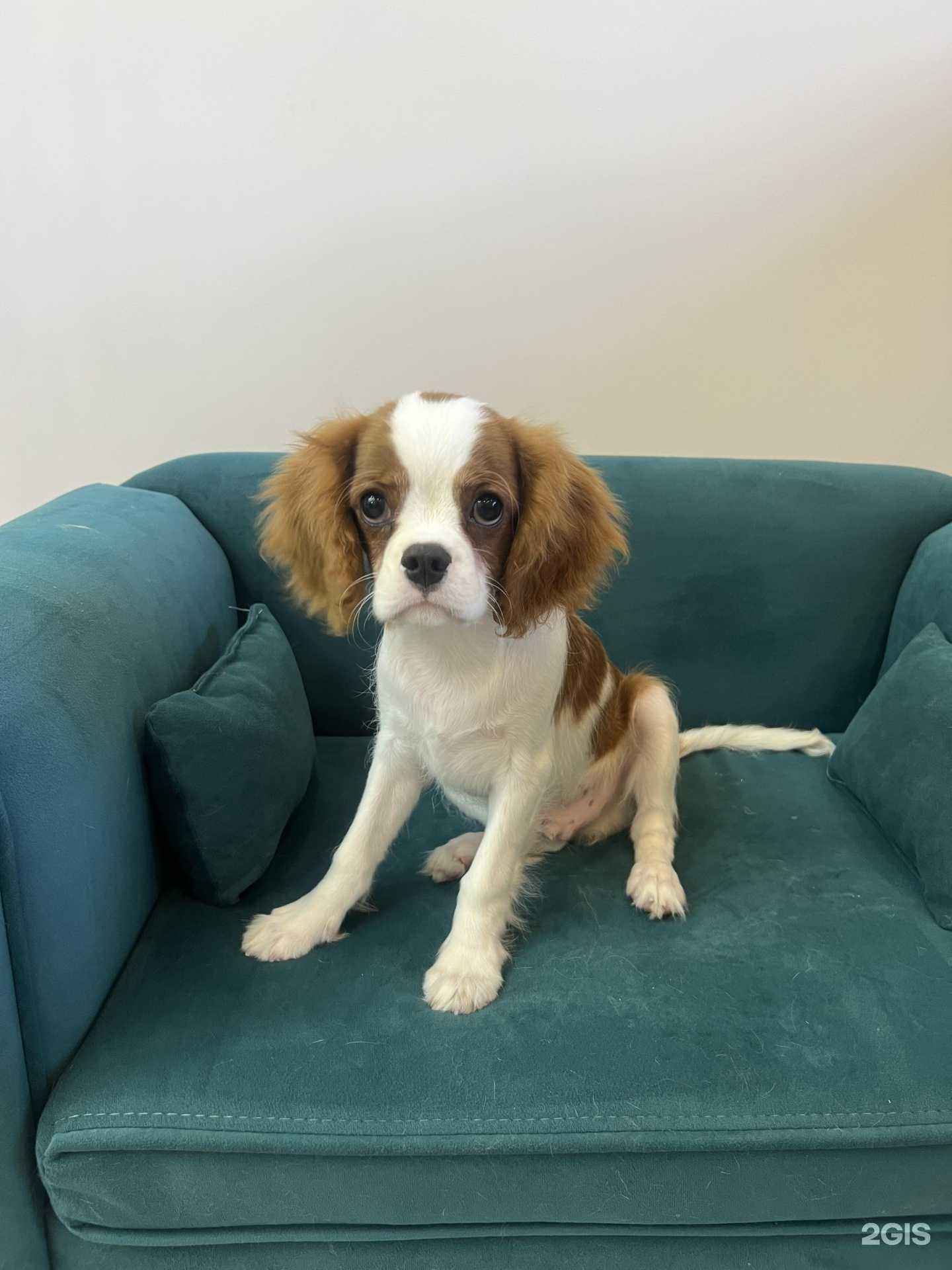 Отзывы на компанию LeBon groom в Новороссийске c фото