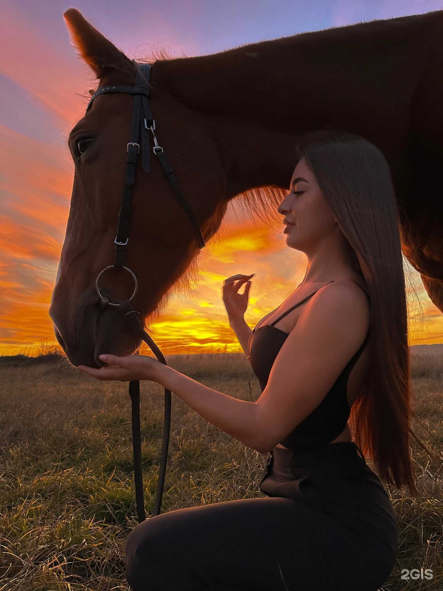 Отзывы на компанию HorseKms в г. Комсомольск-на-Амуре c фото