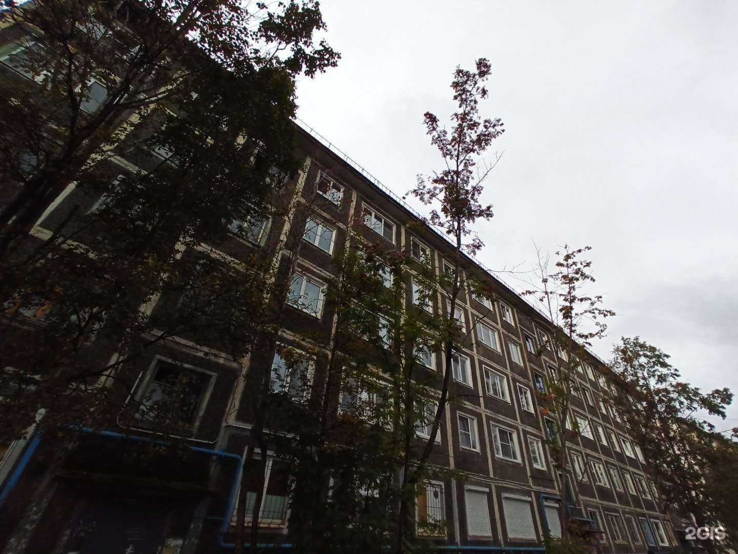 Отзывы на компанию Зообум в Мурманске c фото - фотография 2 из 2