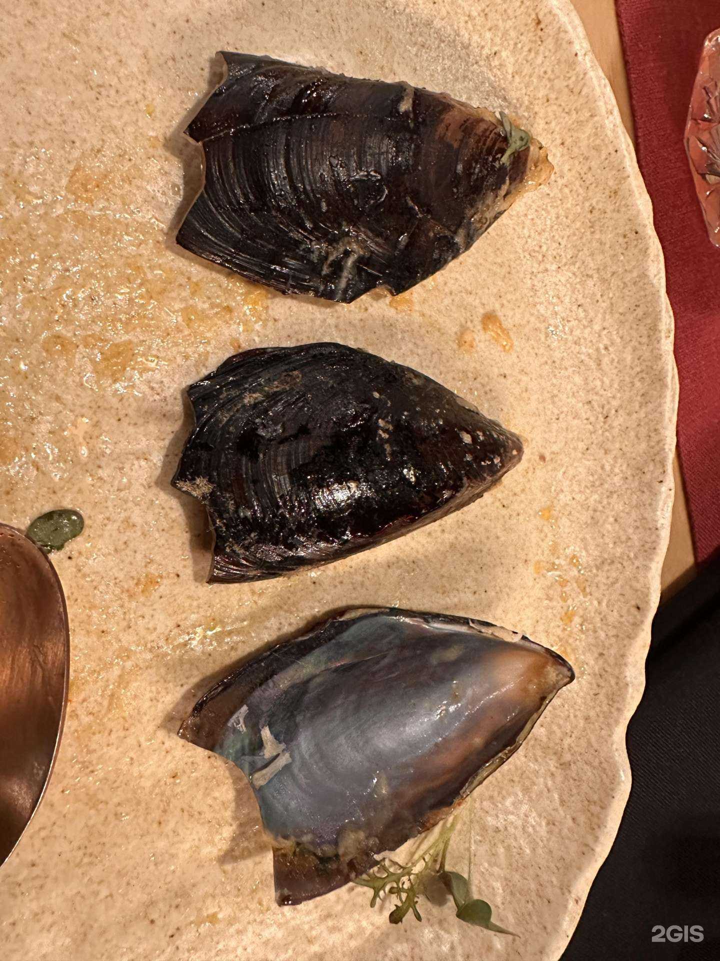 Отзывы на компанию Язи в г. Орёл c фото