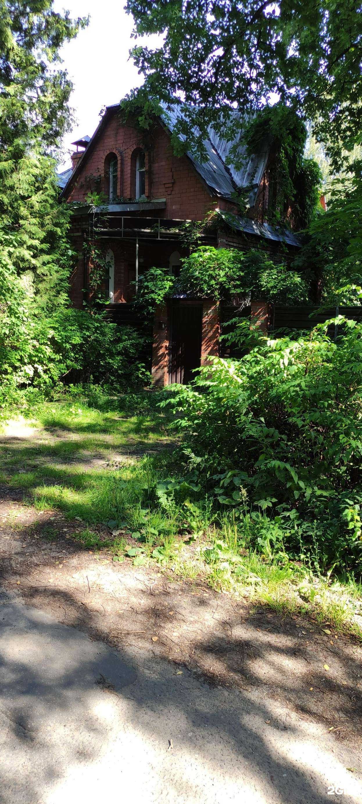 Отзывы на компанию Лингвозаврик в Пушкине c фото