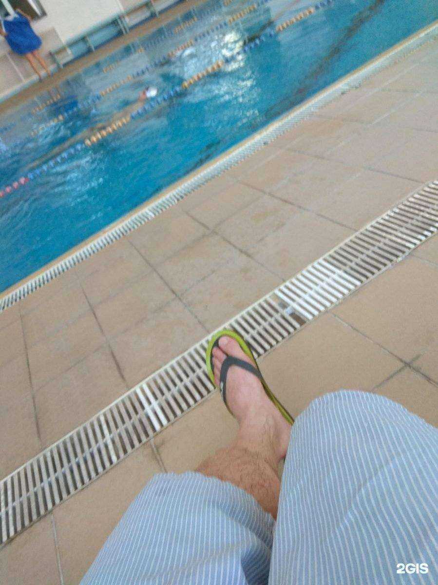 Отзывы на компанию Бассейн в г. Хабаровск c фото