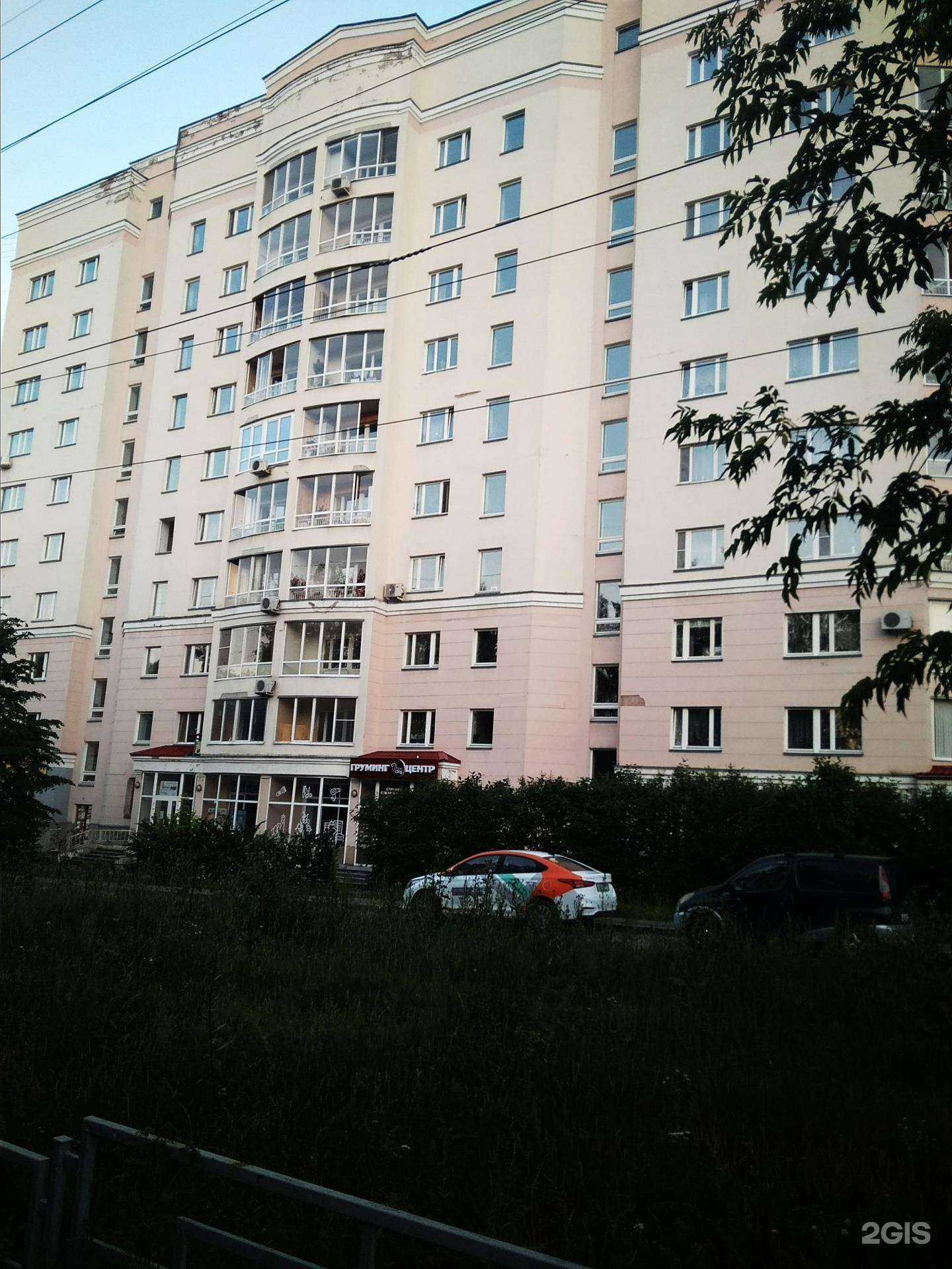 Отзывы на компанию Алгоритмика в Екатеринбурге c фото - фотография 2 из 2