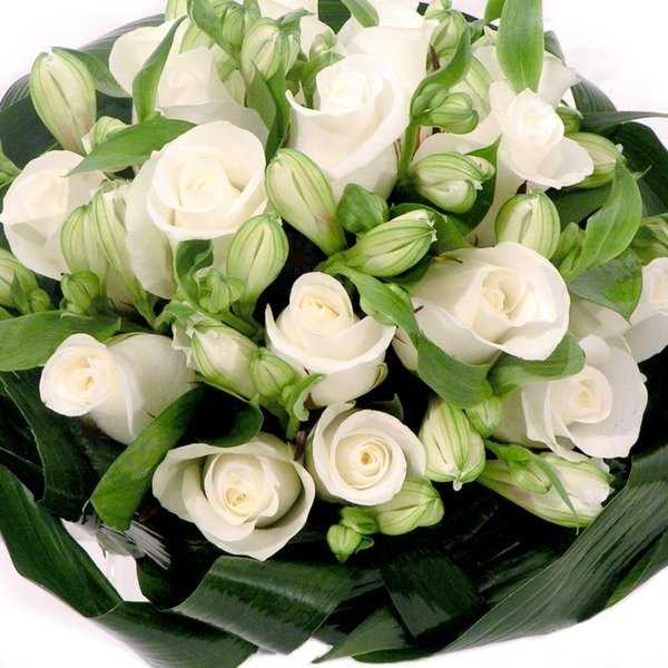 Отзывы на компанию Эдельвейс в г. Тюмень c фото