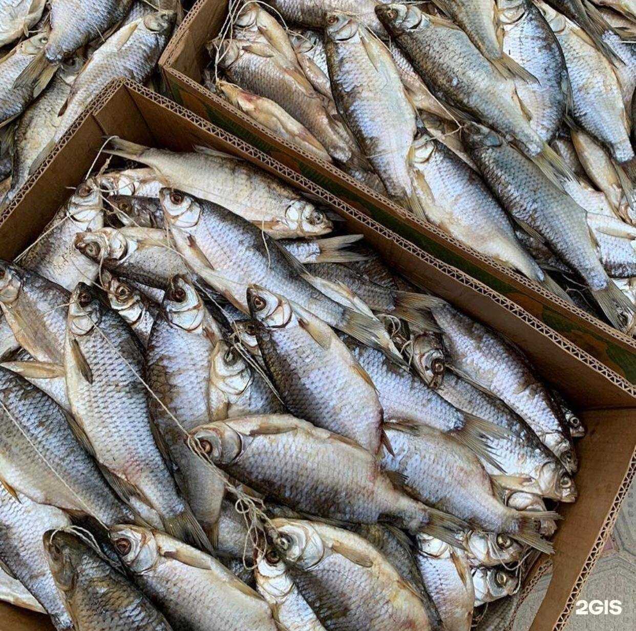 Отзывы на компанию Раковар в г. Новороссийск c фото