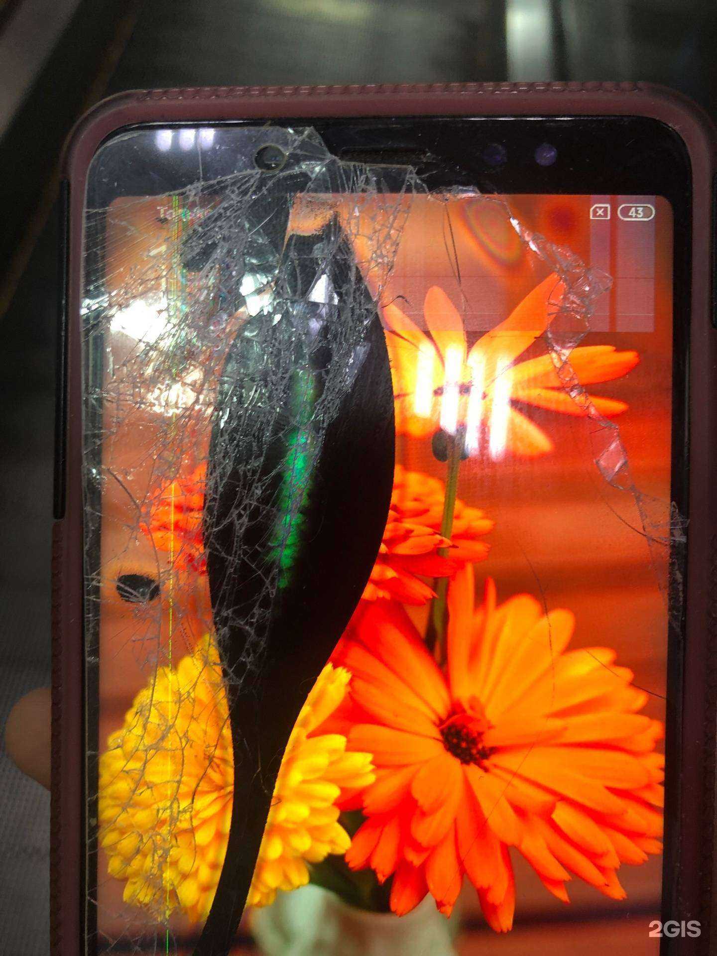 Отзывы на компанию Lti в Красноярске c фото