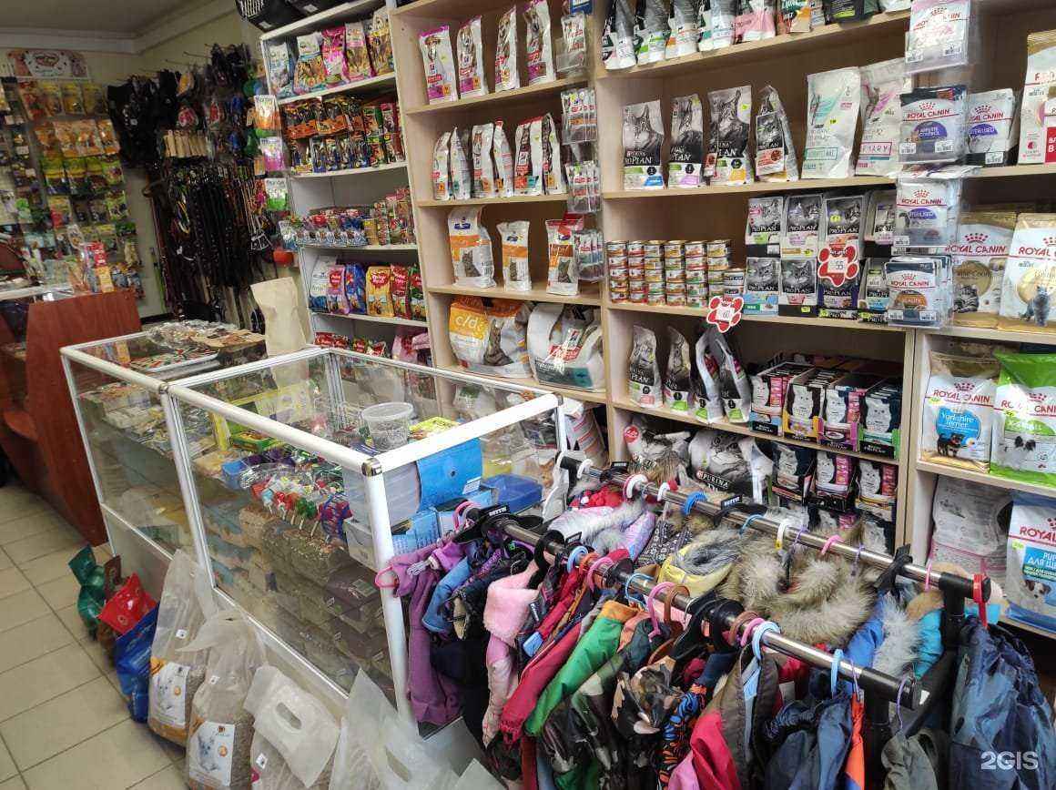 Отзывы на компанию Зоомагазин на Тракторном в г. Липецк c фото