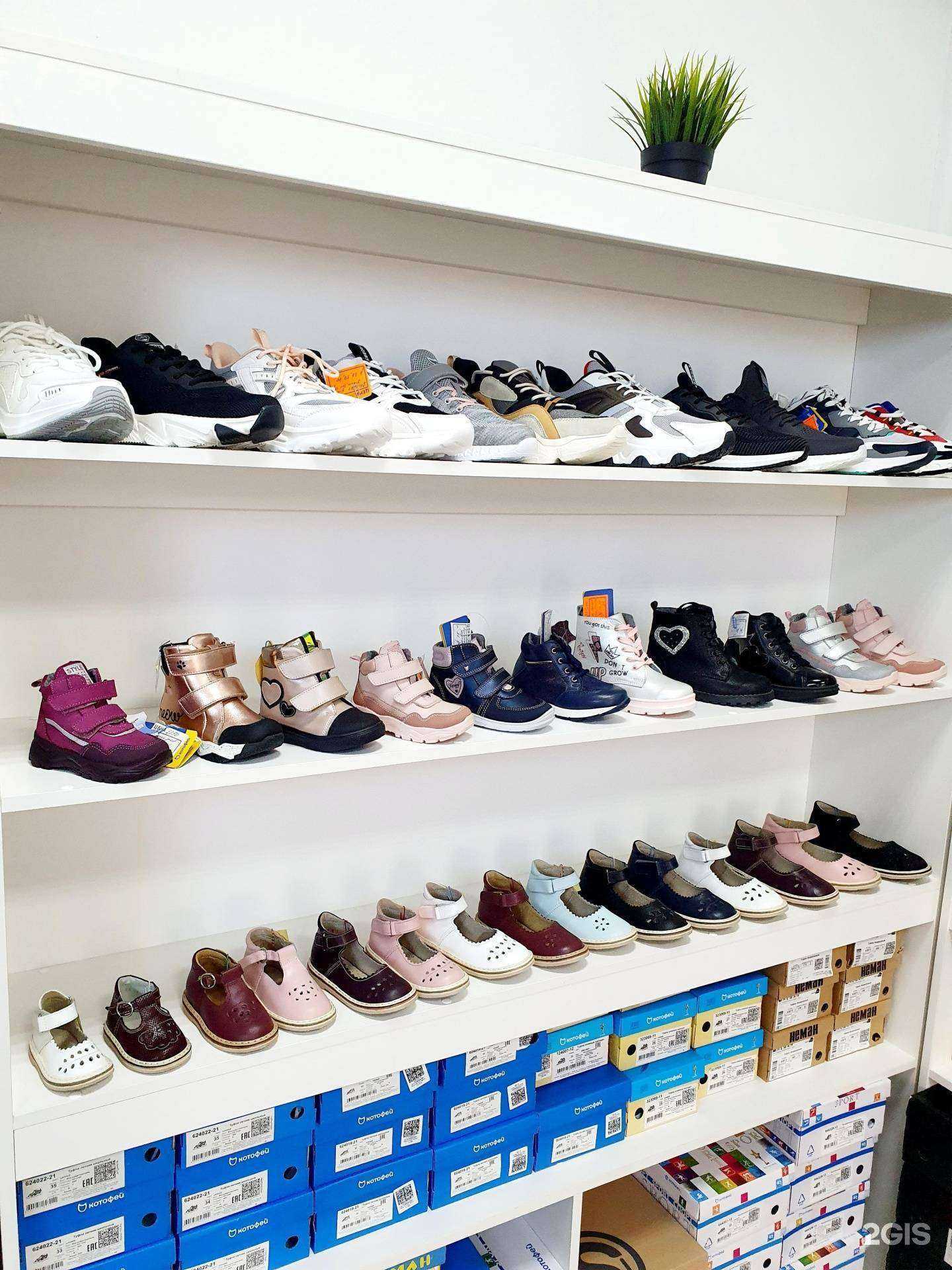 Отзывы на компанию Dani Kids в Улан-Удэ c фото