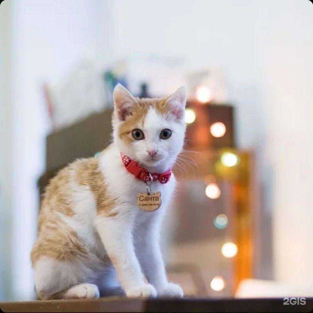 Отзывы на компанию Рио в г. Иркутск c фото