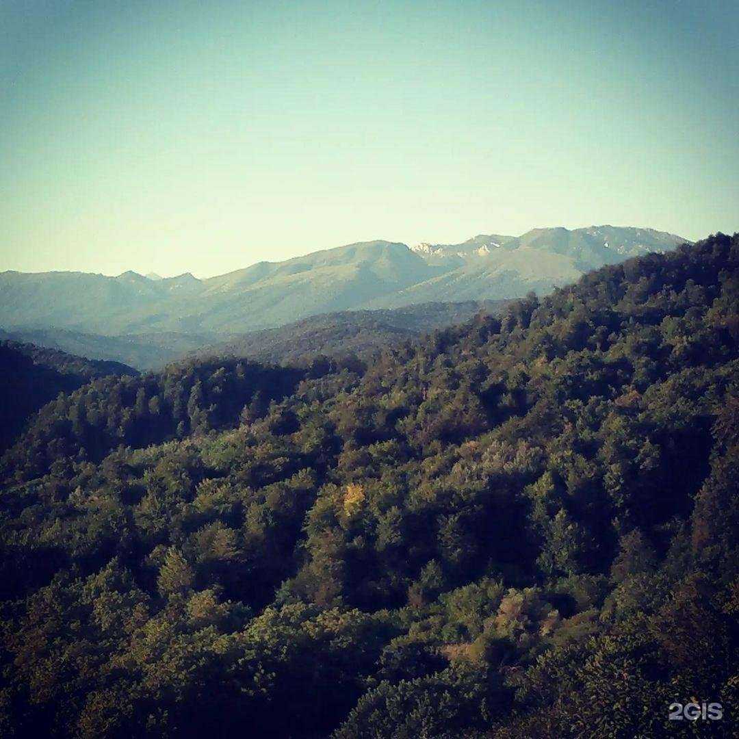 Отзывы на компанию Система в Хабаровске c фото