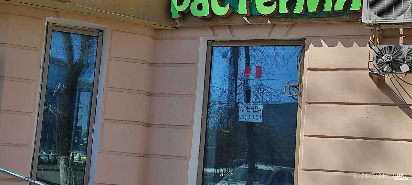 Отзывы на компанию Офелия в г. Челябинск c фото