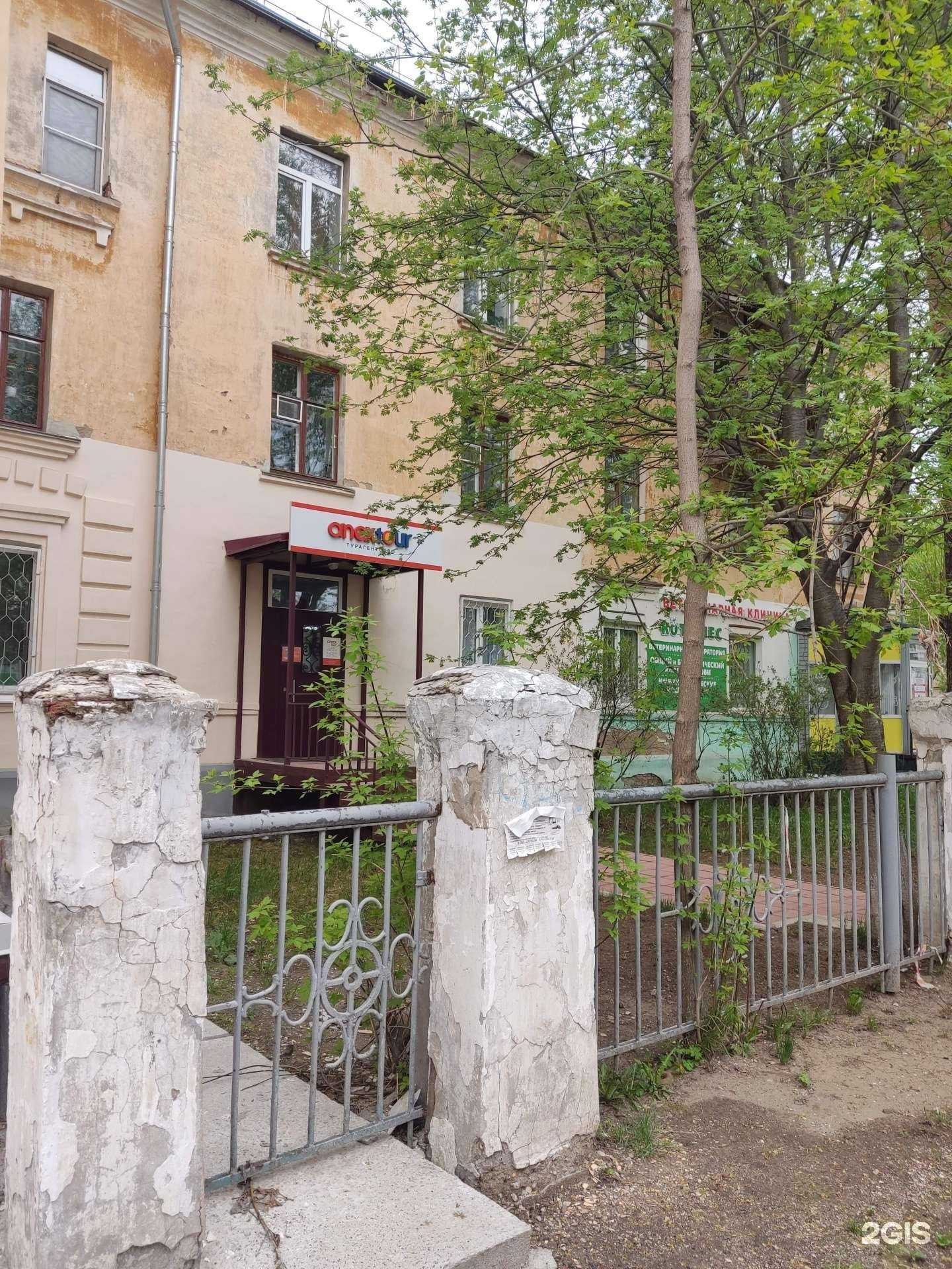 Отзывы на компанию Кот и пес в Краснокамске c фото - фотография 2 из 2