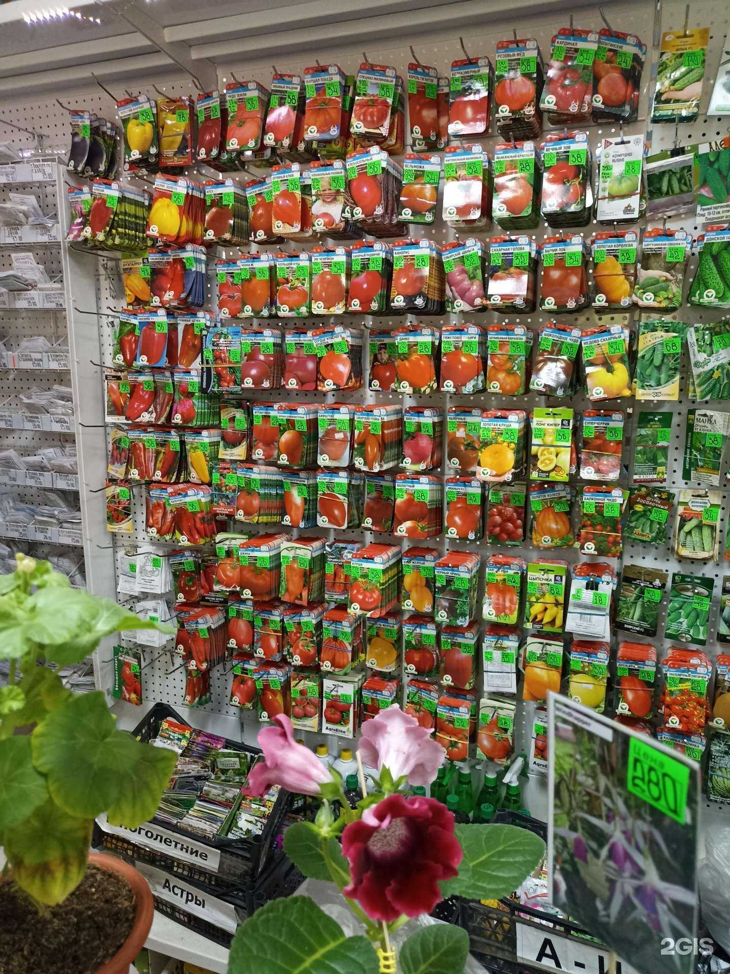 Отзывы на компанию Дача в Омске c фото