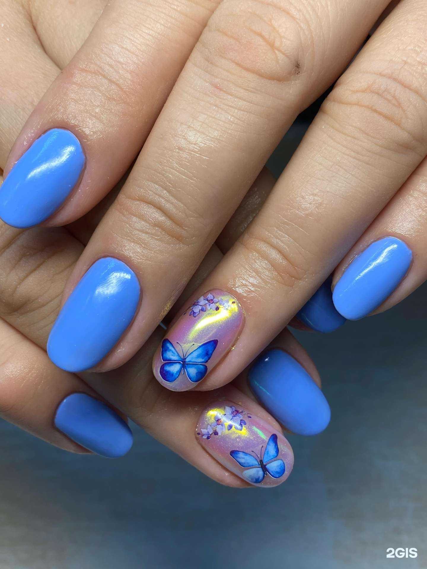 Отзывы на компанию Эвелина в Калининграде c фото