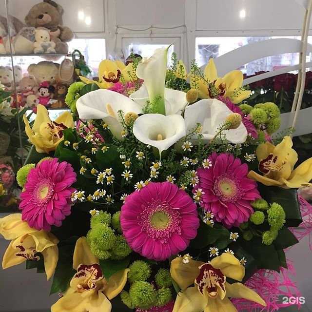 Отзывы на компанию Santini в Волгограде c фото