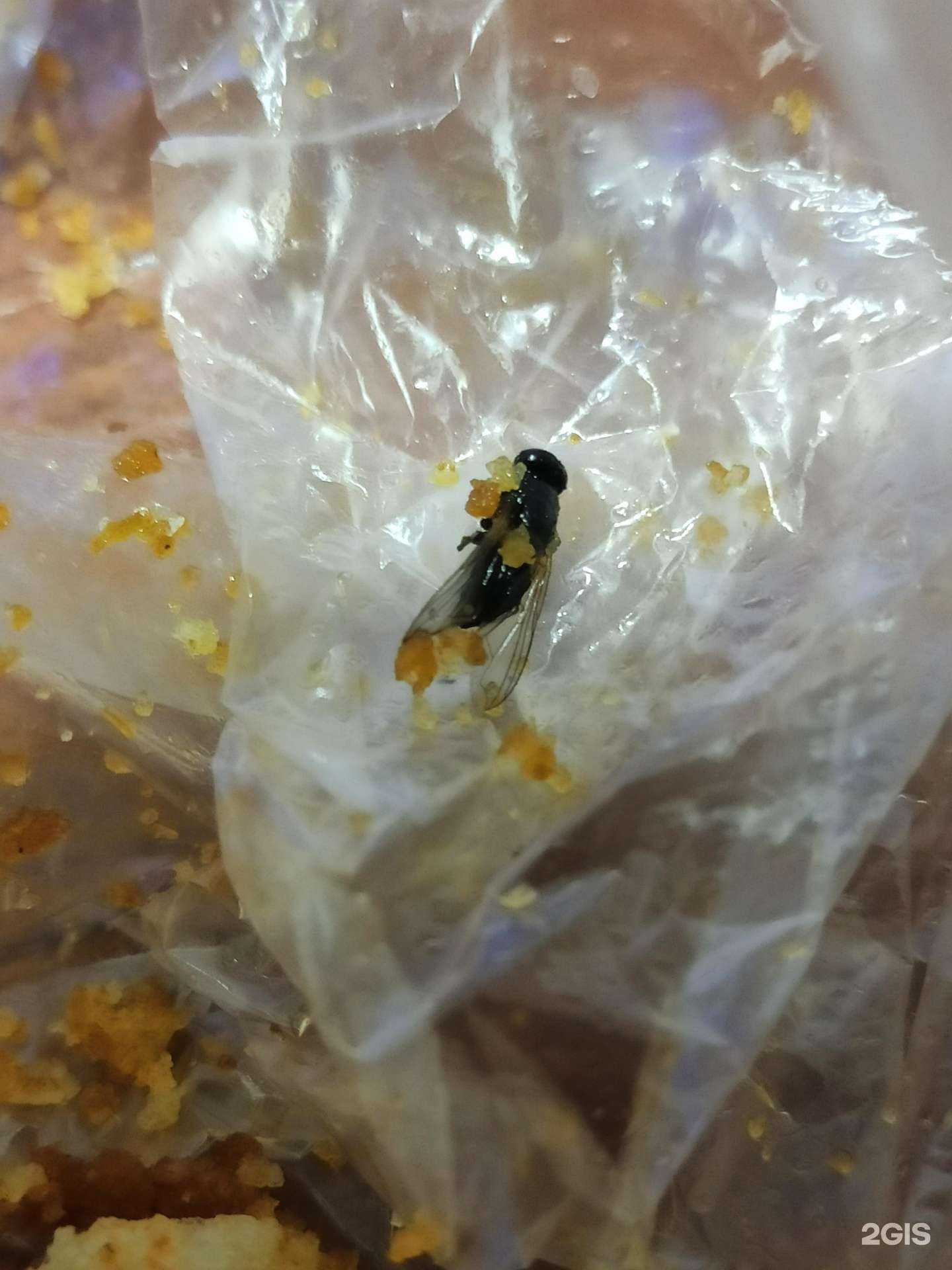 Отзывы на компанию Пивной причал в Красноярске c фото