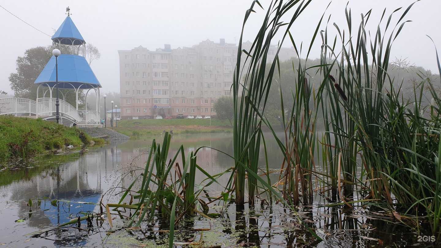 Отзывы на компанию Like в Бронницах c фото - фотография 2 из 2