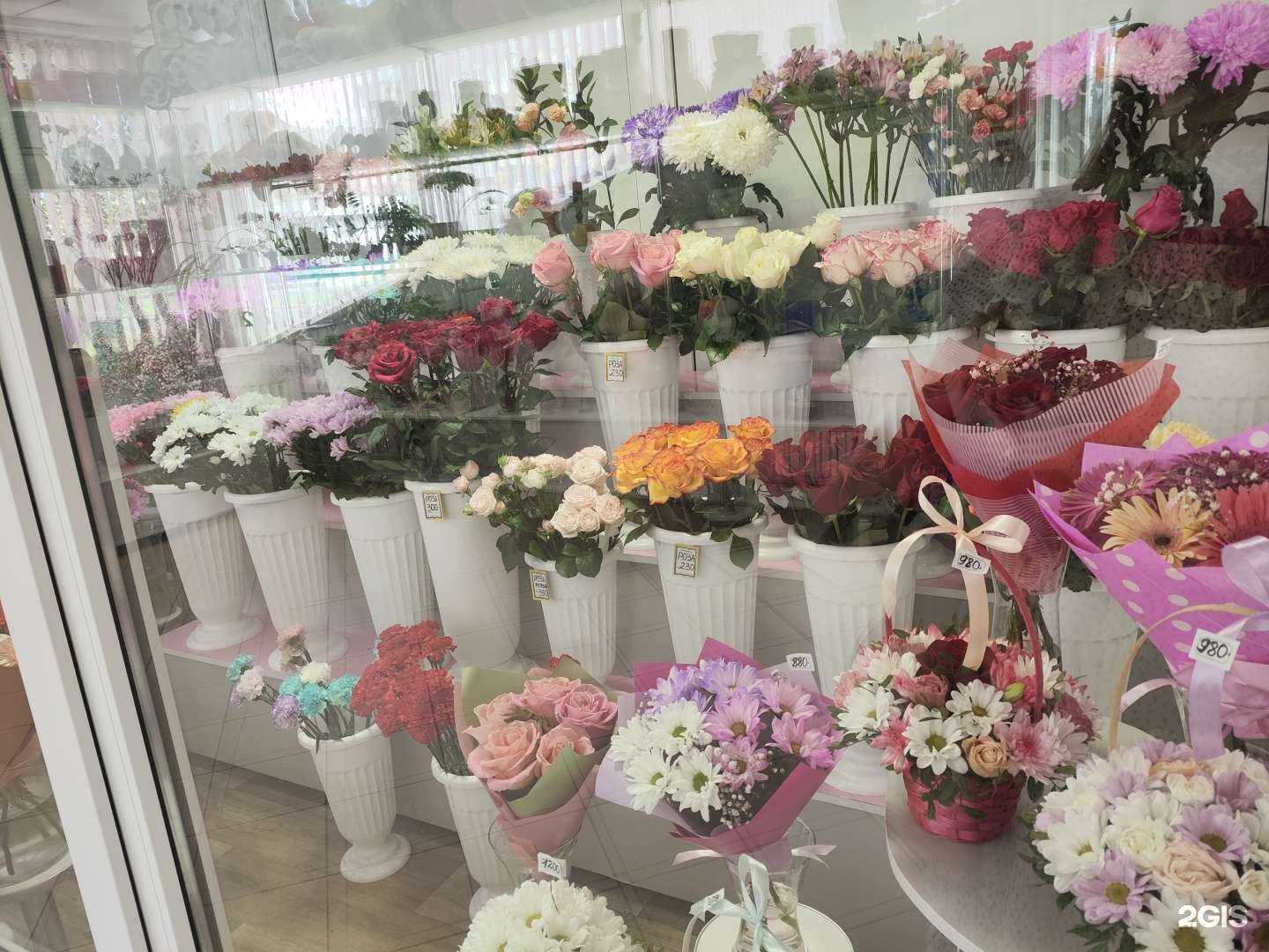 Отзывы на компанию Красота в Северодвинске c фото