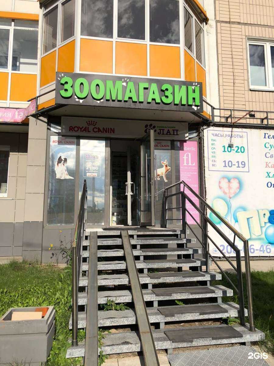 Отзывы на компанию 6 лап в г. Красноярск c фото